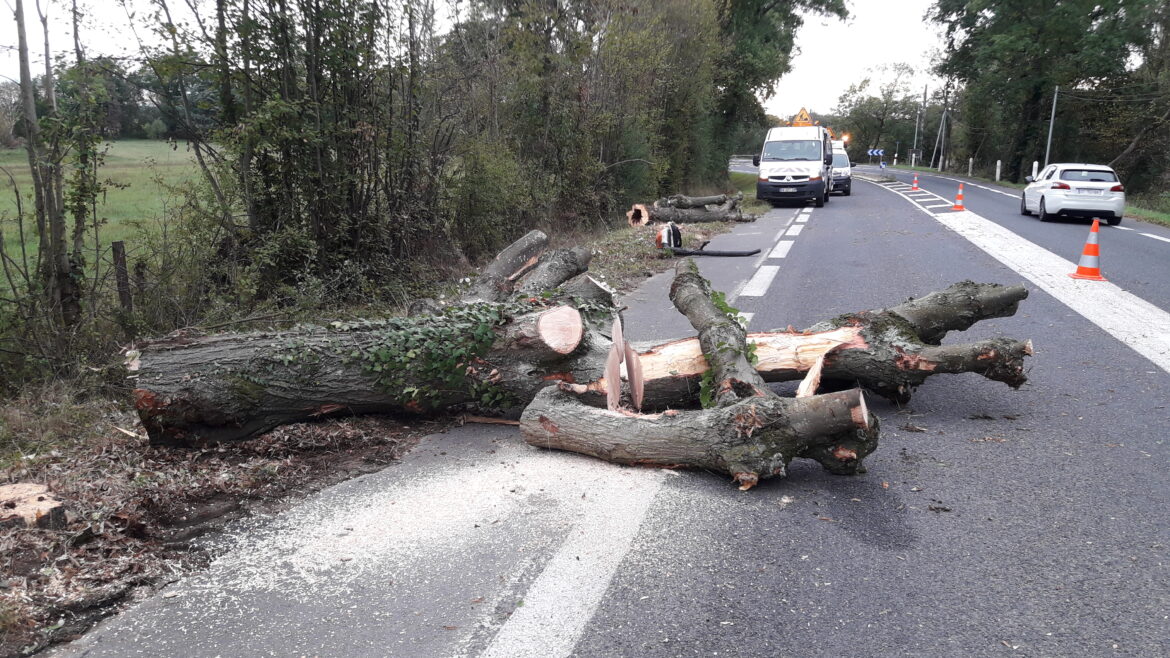 58 agents mobilisés pour faire face aux vents violents dans le Rhône