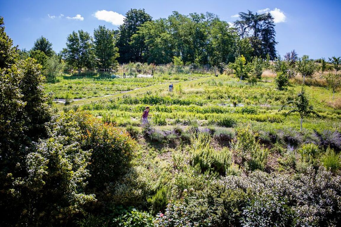 Que faire dans les Monts en août : découvrez la permaculture à l'Eco-circuit de la Source Dorée
