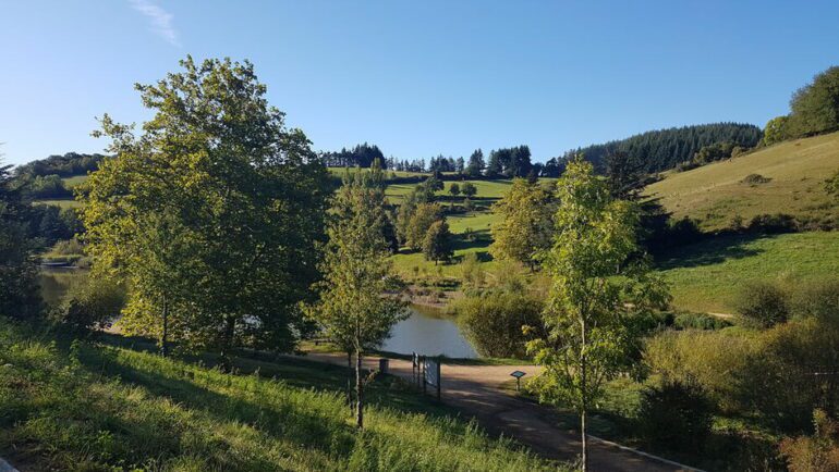 8878595 apidae fiche header big