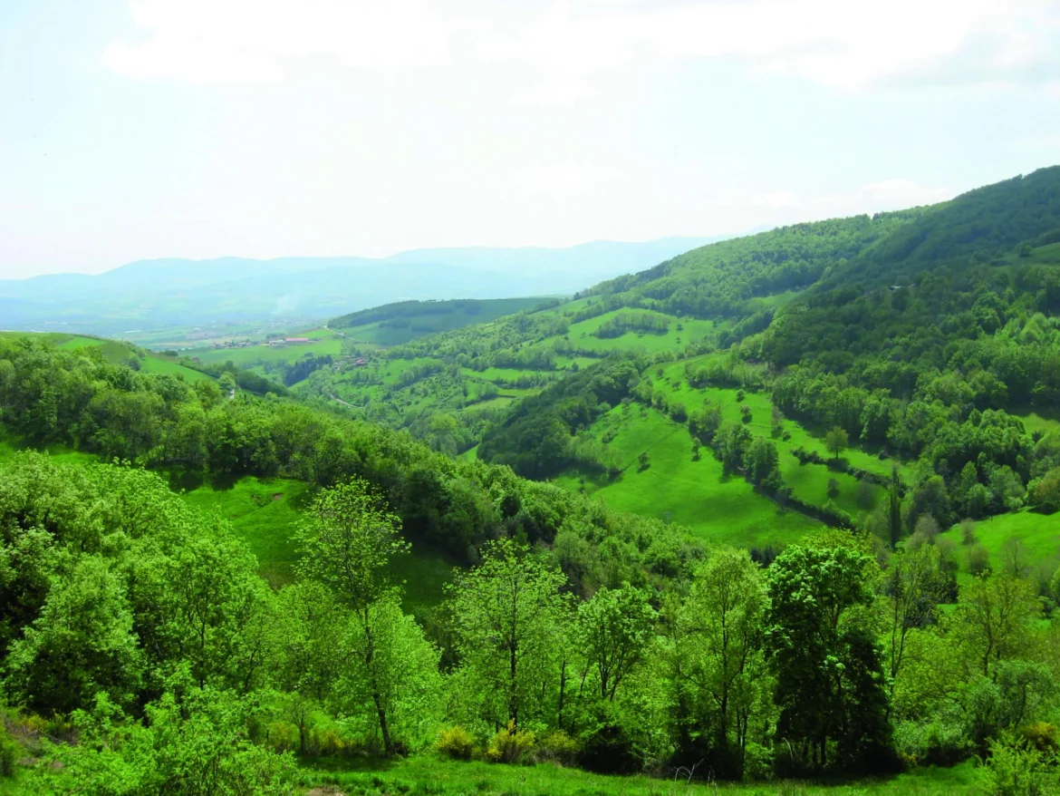 La vallée de Bozançon - © CEN Rhone-Alpes