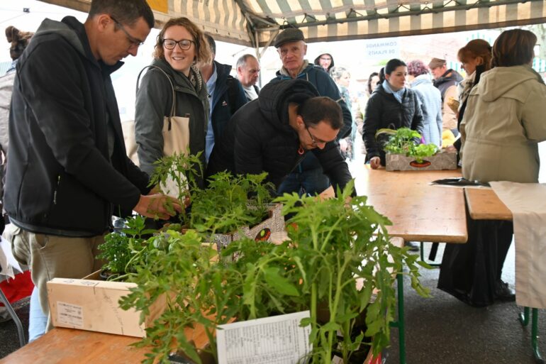Premier marché artisanal de l'APEL Raoul Follereau à Chazelles-sur-Lyon : un succès malgré la pluie 2 68 paniers contenant diverses variétés de plantes ont été vendus - © Quentin Merle