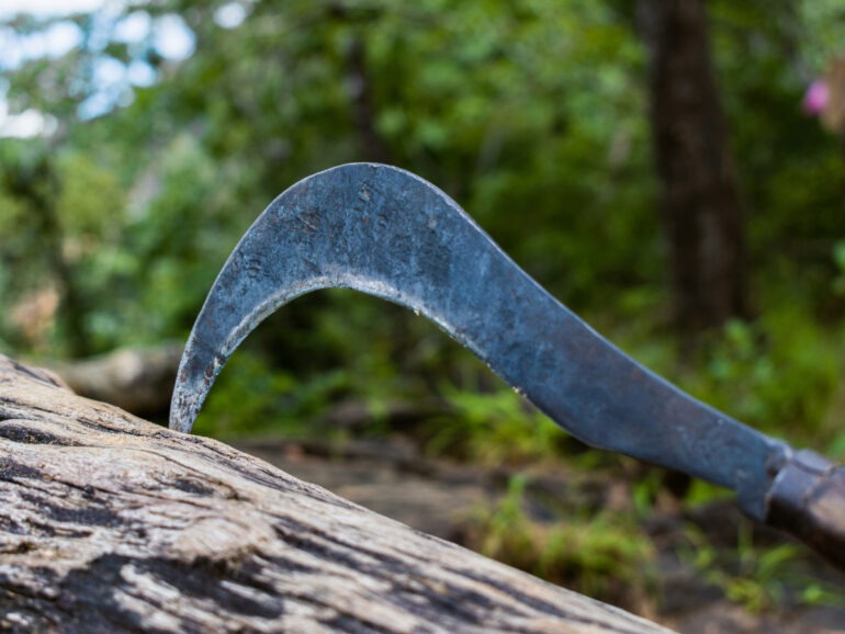 Chazelles-sur-Lyon : Un client mécontent menace un commerçant avec une serpe 1 Chazelles-sur-Lyon : Un client mécontent menace un commerçant avec une serpe - Photo d'illustration