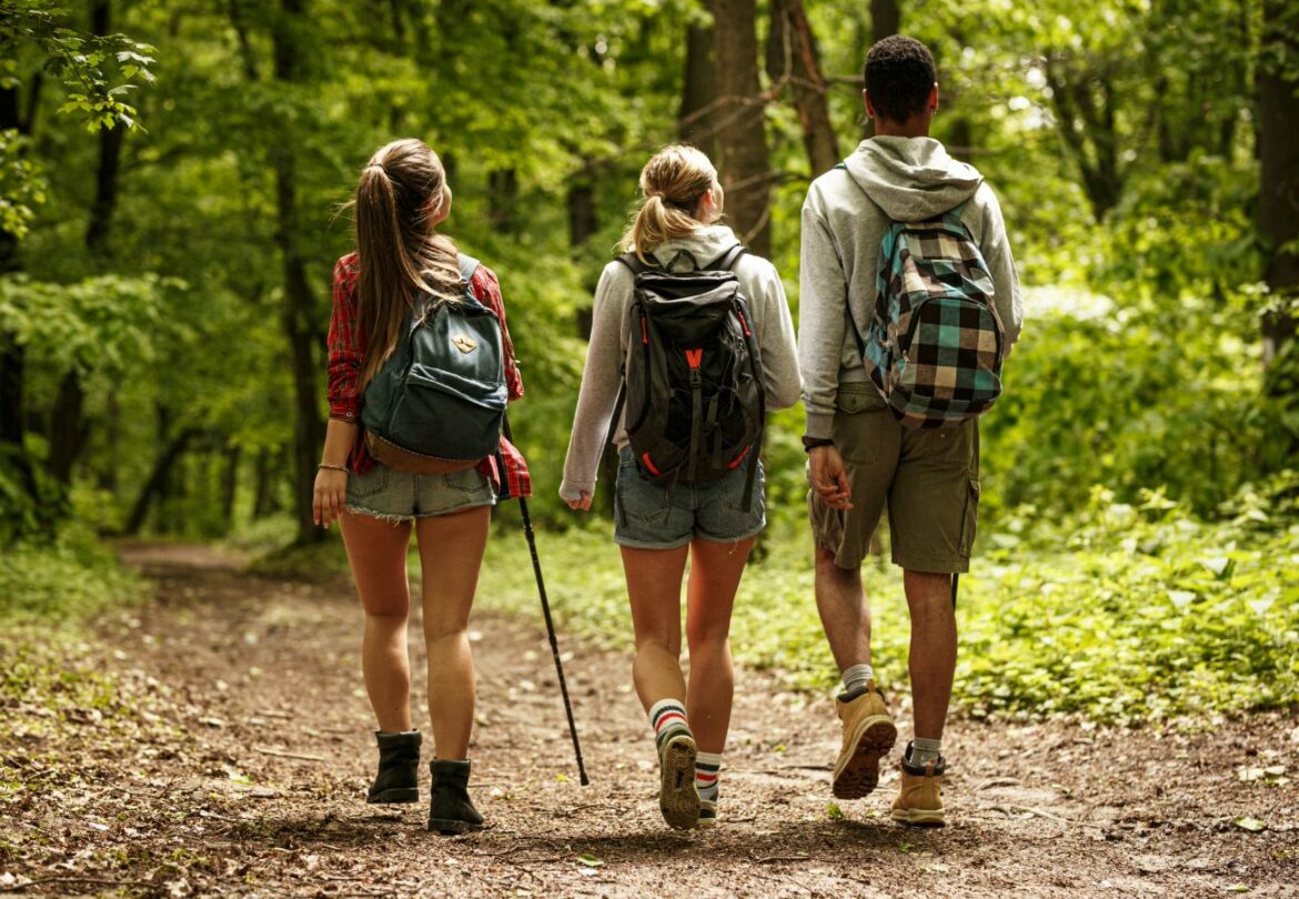 Trois jours de randonnées agriculturelles à Sainte-Catherine et La Chapelle-sur-Coise avec Mont'en Scène 2024