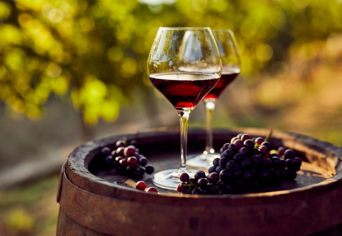 Les célèbres vins des Coteaux-du-Lyonnais fêtent leurs 40 ans !
