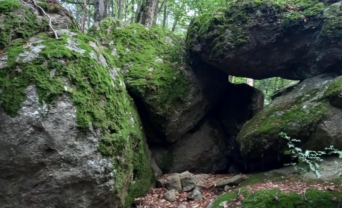 Le mégalithisme : ancien rituel mystique dans les Monts du Lyonnais-OTIMDL