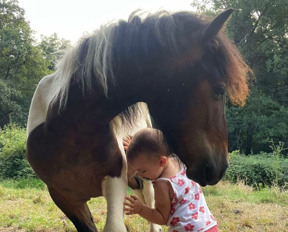 La relation entre une petite fille et son poney brisée par un acte de vandalisme à Thurins