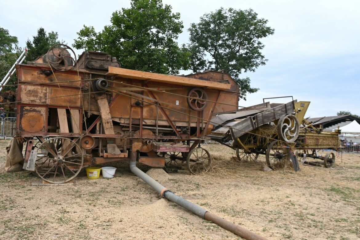 Chevrières remonte le temps avec la Fête de la Batteuse