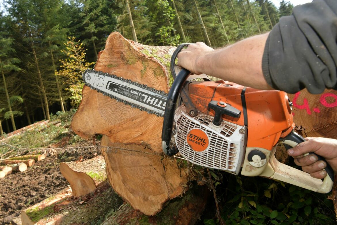 Le Département du Rhône s'engage pour le bois local dans ses constructions