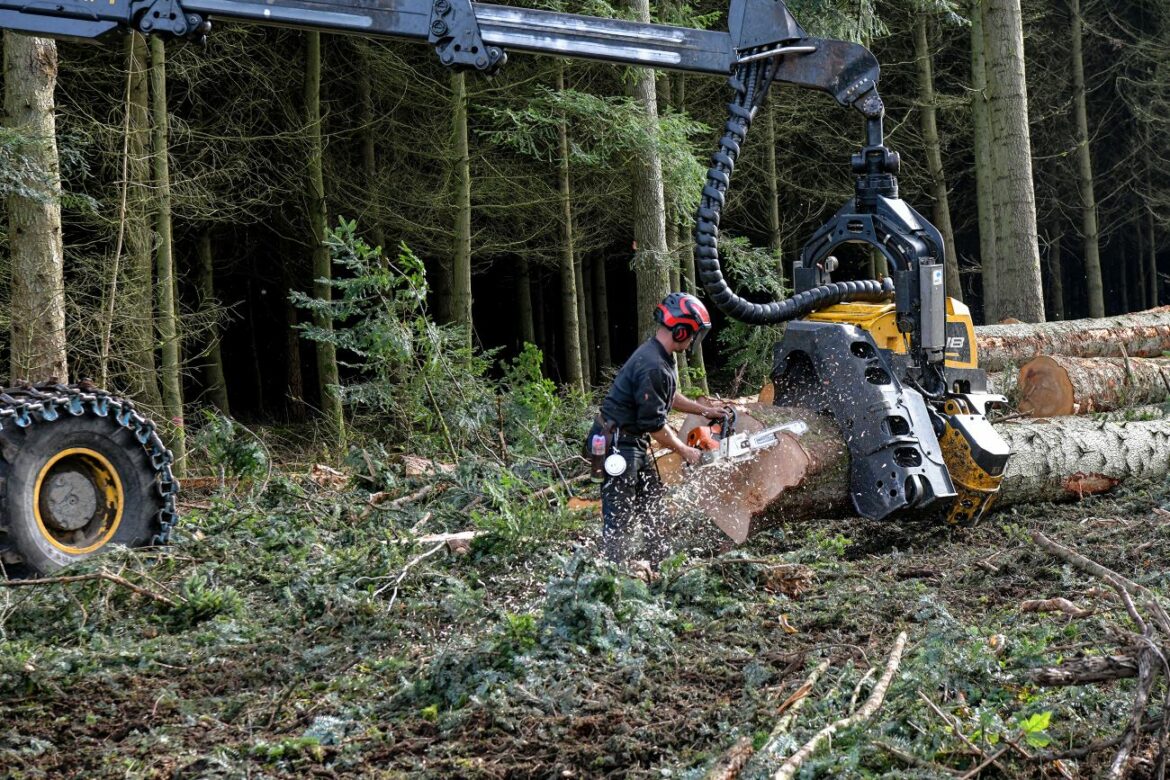 Le Département du Rhône s'engage pour le bois local dans ses constructions 1 Le Département du Rhône s'engage pour les cinq prochaines années à utiliser massivement le bois et les matériaux biosourcés dans ses futures constructions.