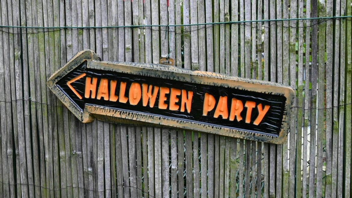 Halloween dans les Monts du Lyonnais : dernière chance pour le Train de la Peur ce mardi 1 Il reste une dernière occasion de frissonner à bord des trains des Monts du Lyonnais pour Halloween