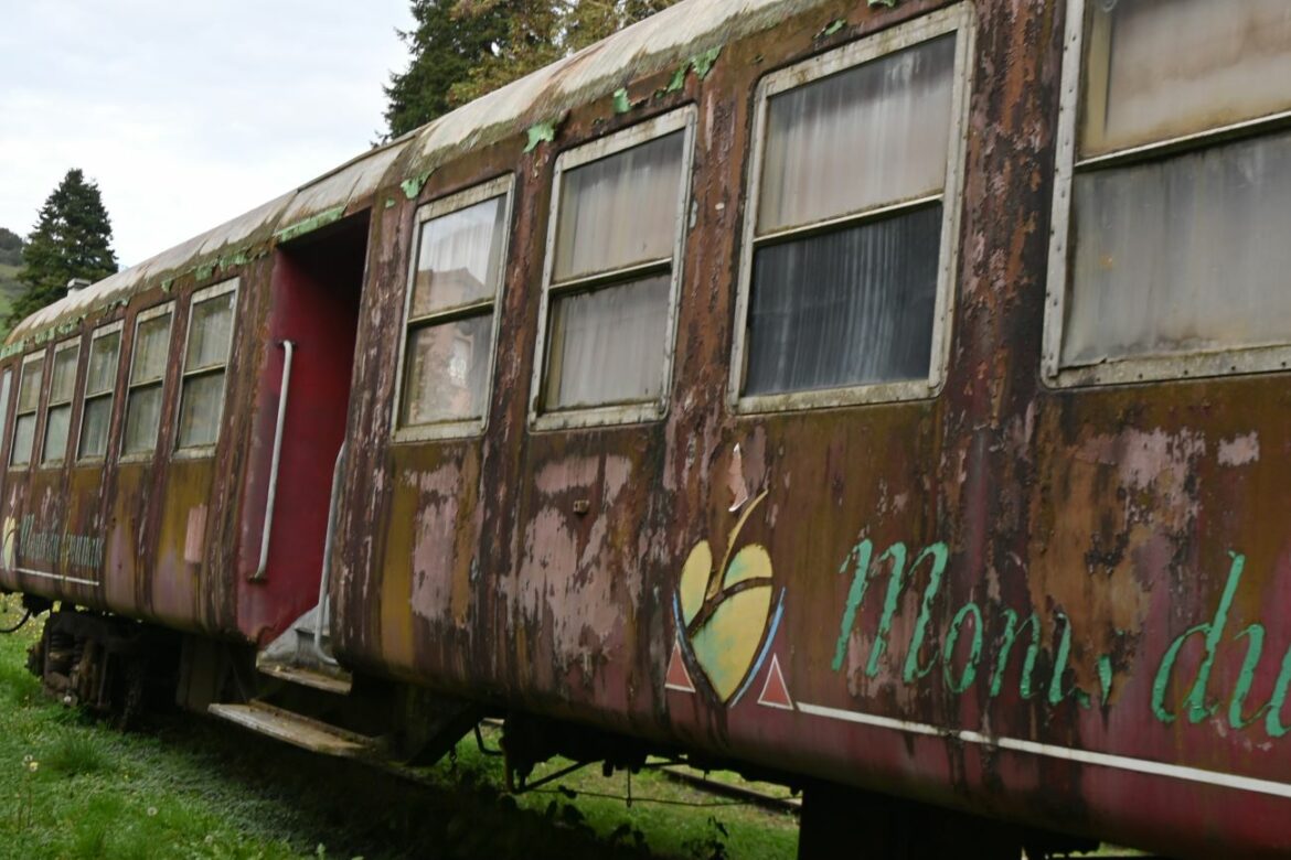 Halloween dans les Monts du Lyonnais : dernière chance pour le Train de la Peur ce mardi
