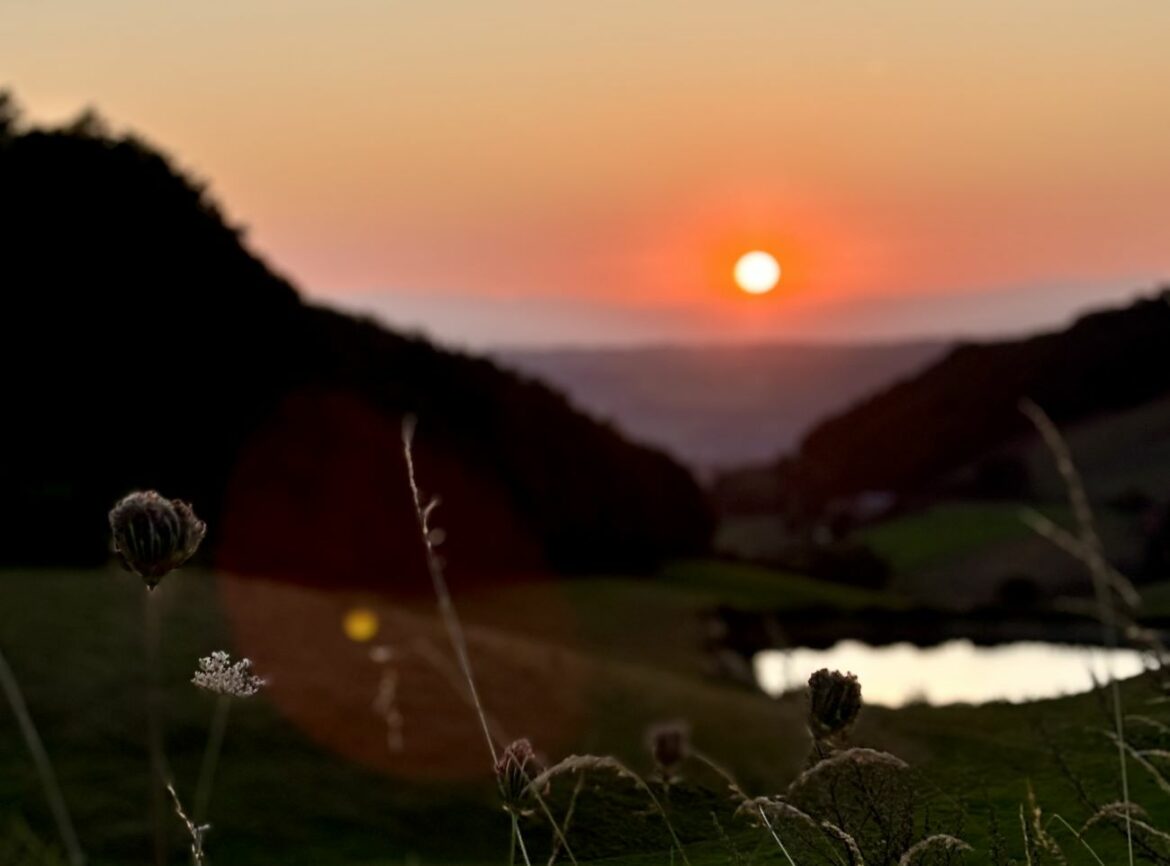 Tourisme : les Monts du Lyonnais s'unissent pour valoriser leur territoire