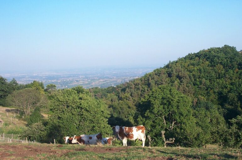 Étape 3 du Chemin de Saint-Jacques de Compostelle