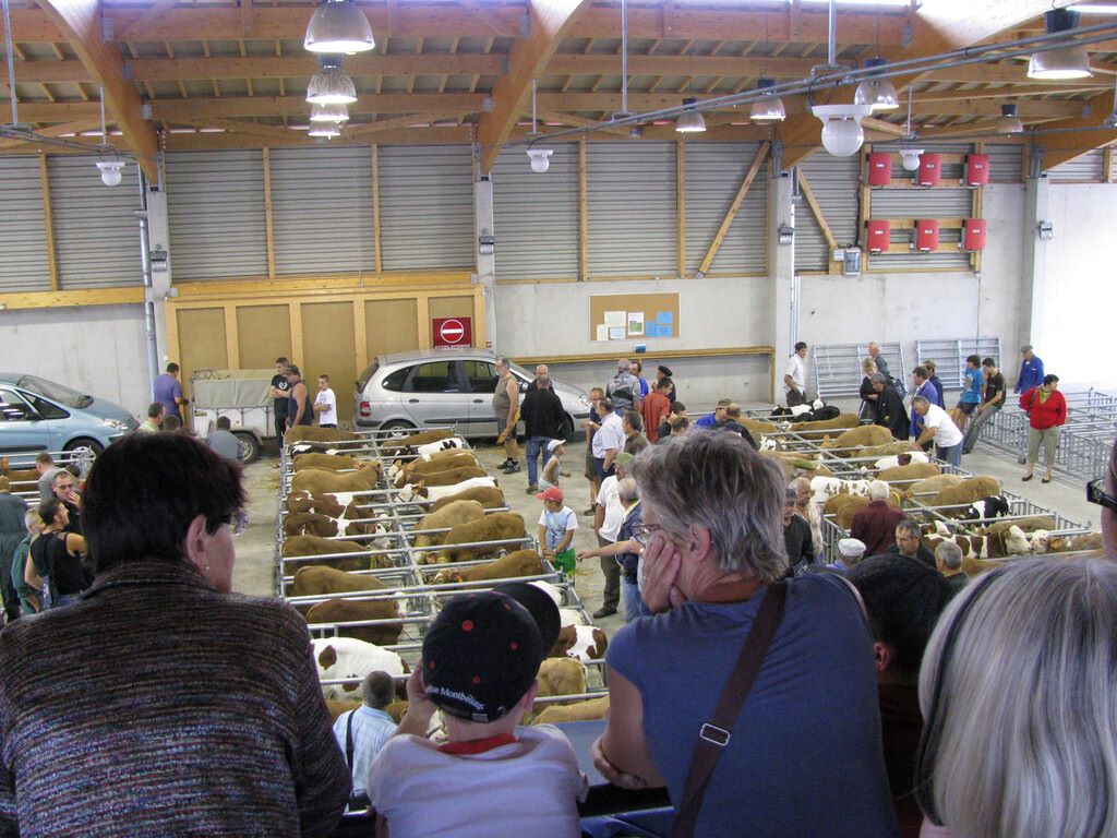 6 marchés incontournables à faire dans les Monts du Lyonnais 1 Le marché aux veaux de Saint-Laurent-de-Chamousset : une tradition vivante - © Monts du Lyonnais Tourisme