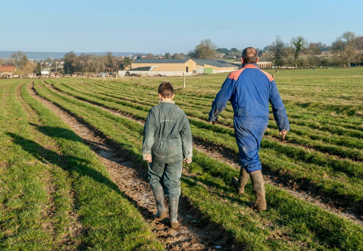 Transmission agricole dans les Monts du Lyonnais : trois matinales pour préparer sa retraite