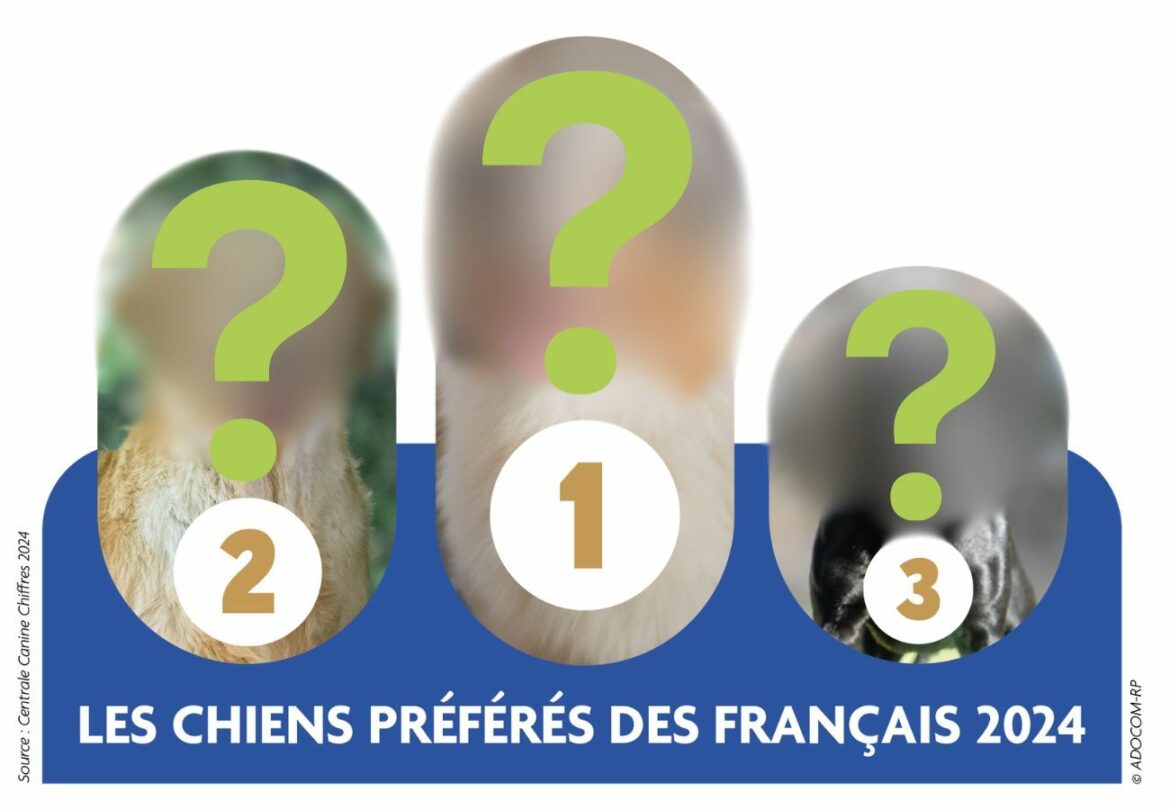 Les chiens préférés en Auvergne-Rhône-Alpes : le classement 2024 dévoilé