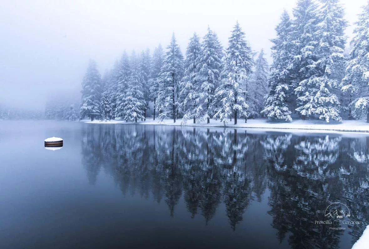 Près de 15 cm de neige : l'hiver n'a pas dit son dernier mot dans les Monts du Lyonnais