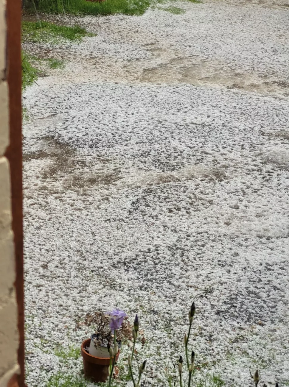 Un tapis de grêle - © Isabelle Busin - Info route des Monts du Lyonnais