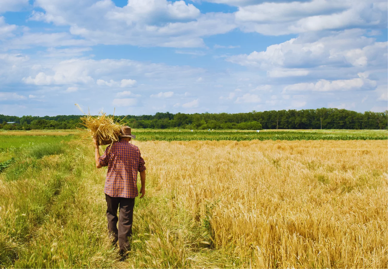Solidarité Paysans recherche des bénévoles dans les Monts du Lyonnais
