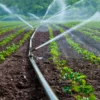 Un nouveau réseau d’irrigation inauguré entre Saint-Martin-en-Haut et Duerne 11 Un nouveau réseau d’irrigation inauguré entre Saint-Martin-en-Haut et Duerne