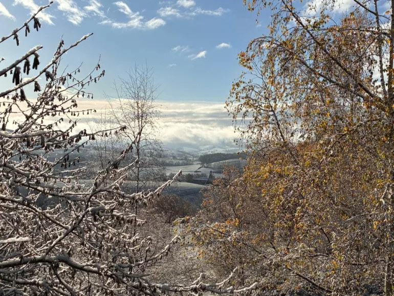 La neige s’invite dans les monts du Lyonnais après les premières chutes de ce jeudi