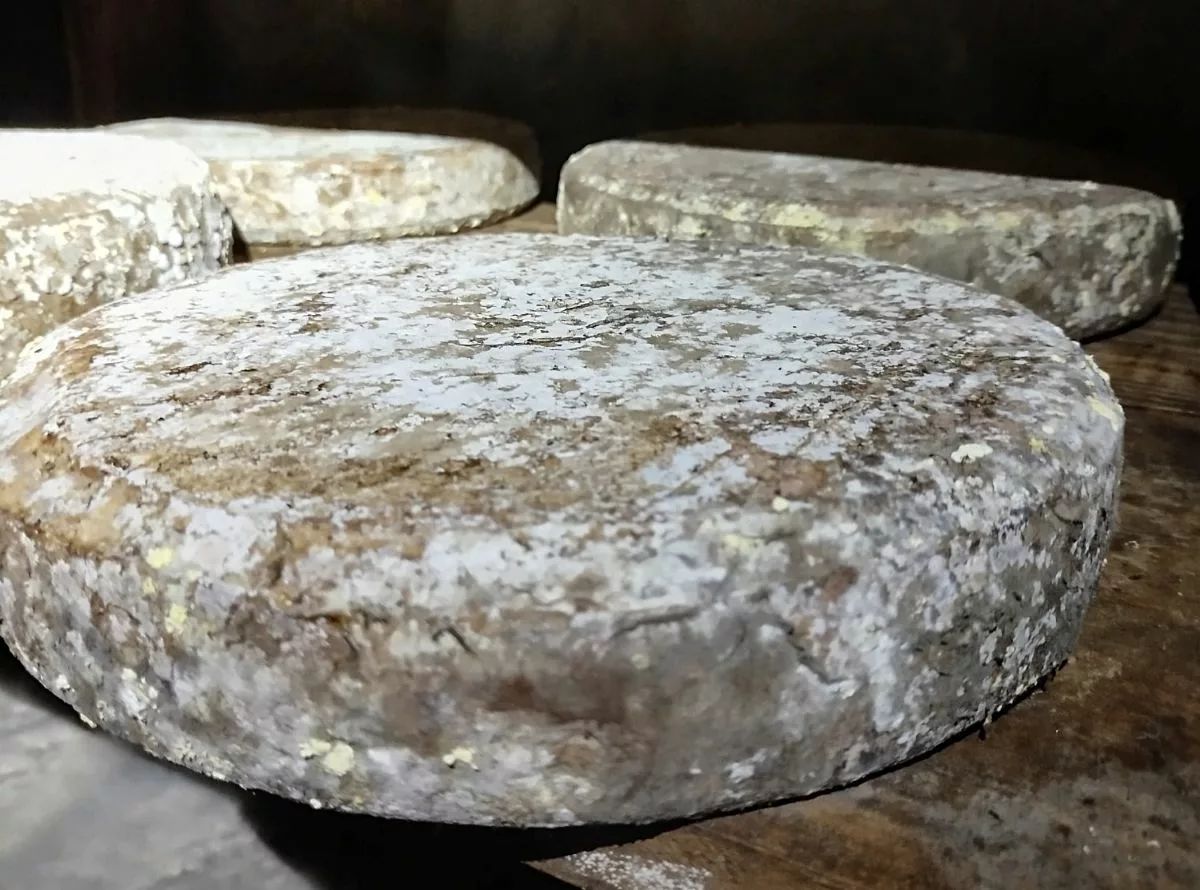 La Fromagerie Les 2 Chapelles décroche l'or au concours international de Lyon et agrandit ses installations 1 La médaille d'or et le prix du jury au concours international de Lyon pour le fromage Excellence de Vaudragon - DR