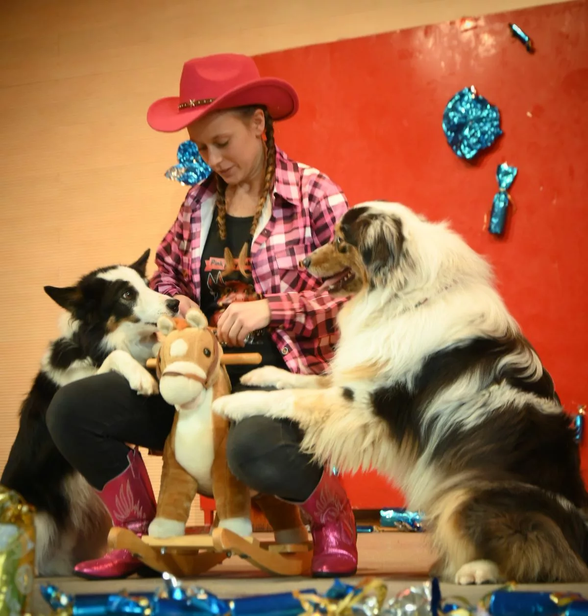 Les visiteurs ont pu assister à des spectacles de dog dancing - © Quentin Merle