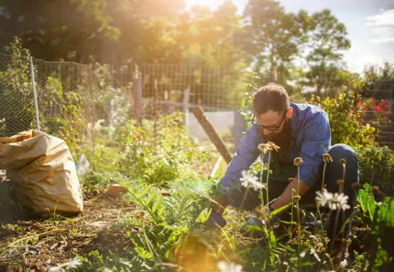 À Saint-Martin-en-Haut, le jardin collectif des Charmattes ouvre ses portes aux curieux