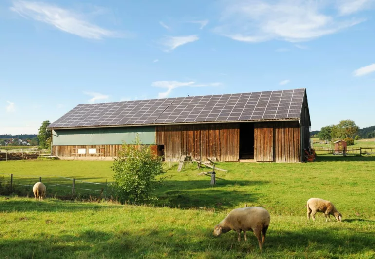 Monts Énergies détaille ses projets photovoltaïques et ses enjeux pour 2026 dans les Monts du Lyonnais