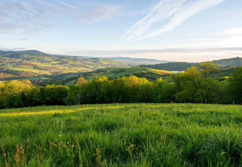L'Office du tourisme des Monts du Lyonnais dresse son bilan 2025 et prépare activement sa saison estivale