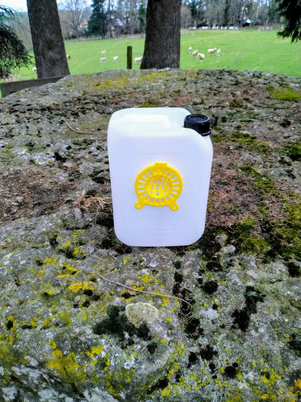 Frelon asiatique dans la Loire : « Une seule reine capturée, c'est 10.000 frelons de moins en été » 1 Frelon asiatique dans la Loire : « Une seule reine capturée, c'est 10.000 frelons de moins en été »