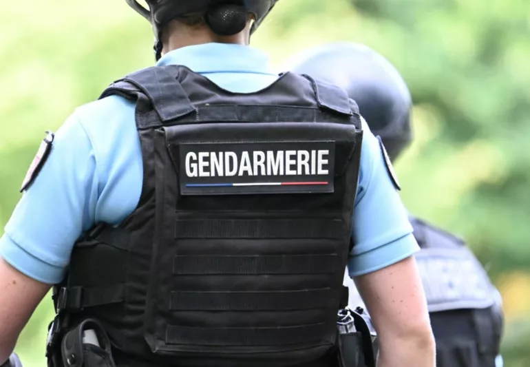 Un chien de la gendarmerie retrouve un enfant disparu en pleine nuit à Saint-Julien-sur-Bibost