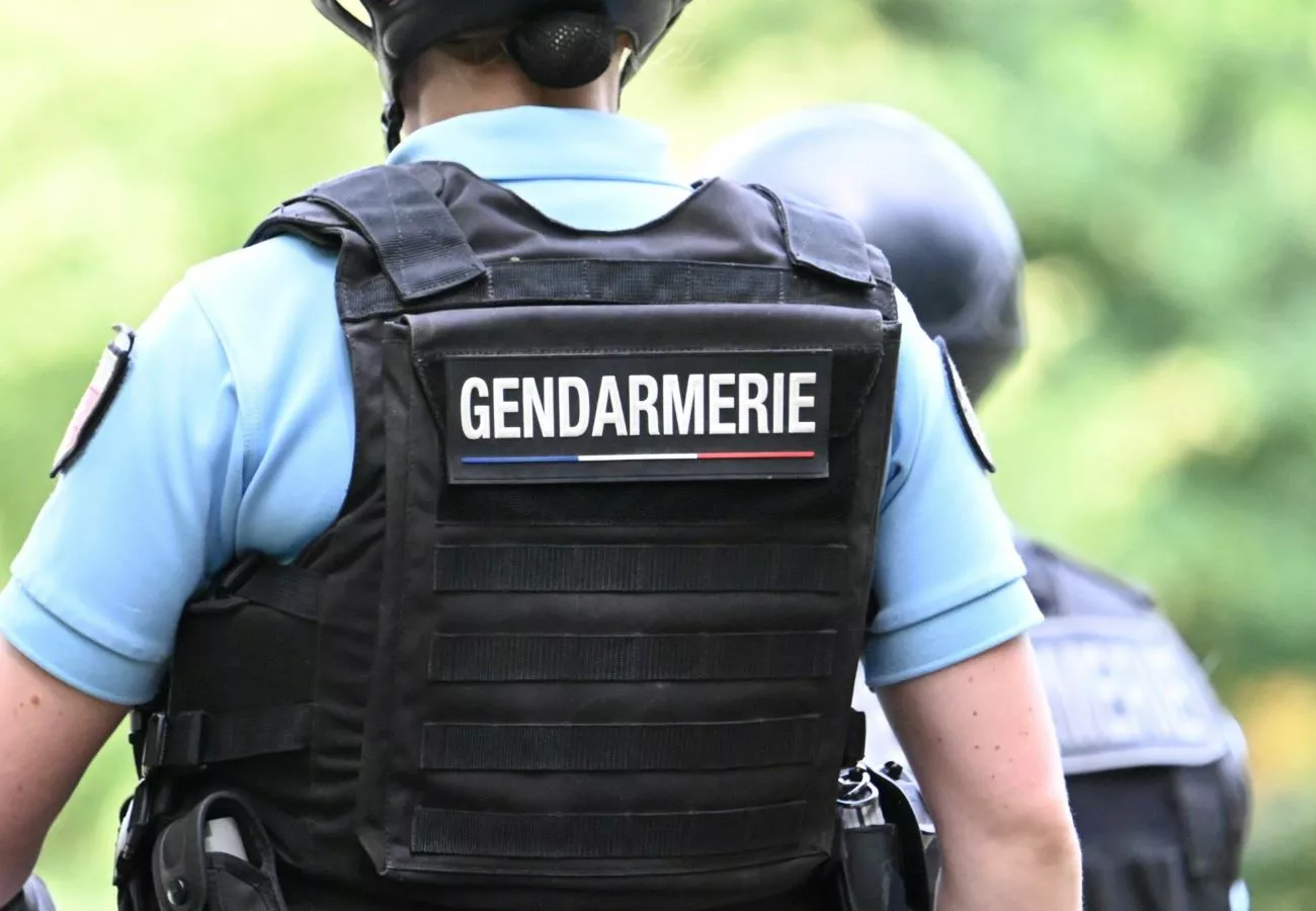 Un chien de la gendarmerie retrouve un enfant disparu en pleine nuit à Saint-Julien-sur-Bibost