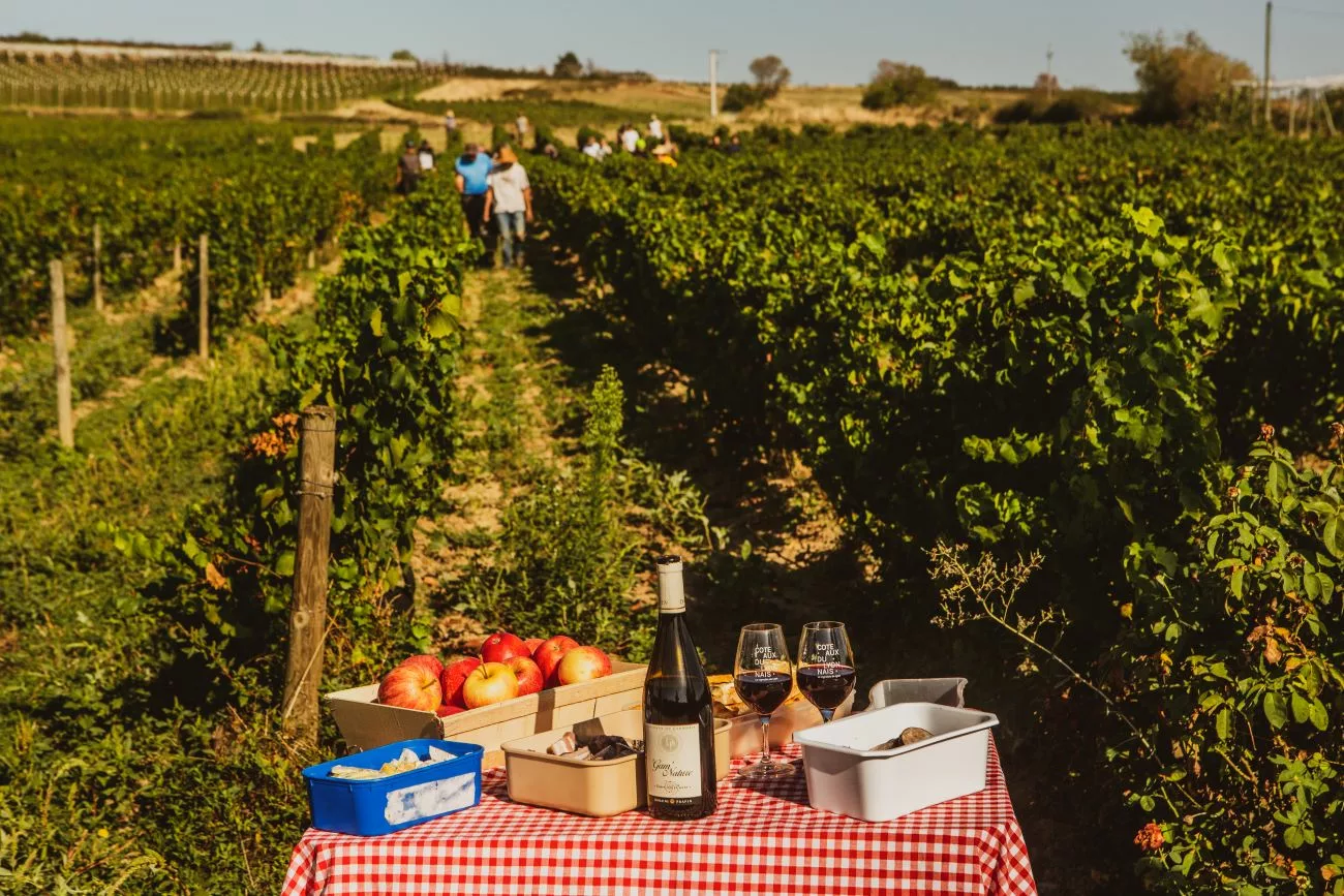 Le Domaine de Prapin, pionnier de la biodynamie