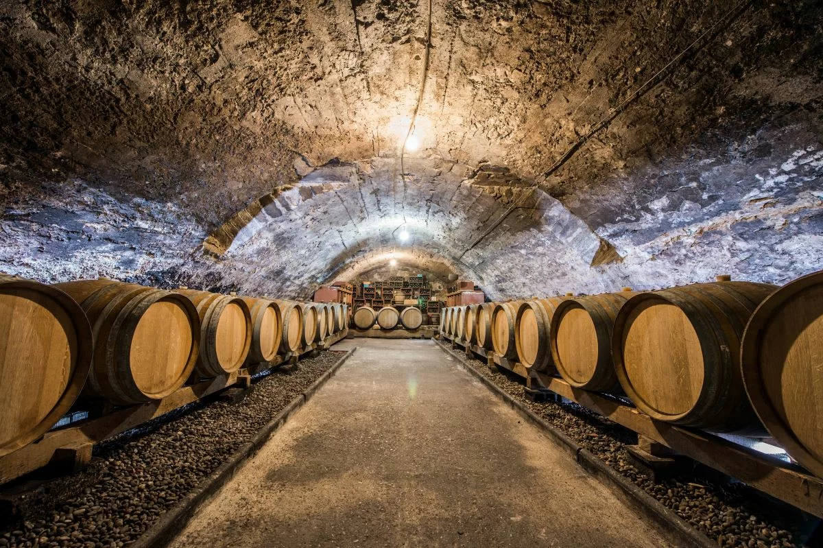 Le Domaine du Clos Saint-Marc, défenseur de la biodiversité - DR