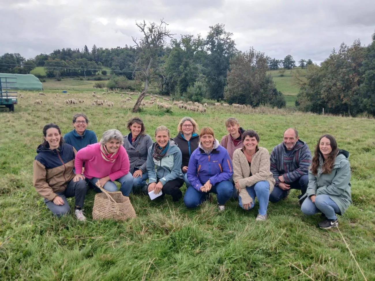 L'association Bêle se mobilise pour relancer la filière de la laine locale dans les Monts du Lyonnais
