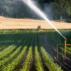 De nouvelles restrictions d&rsquo;eau pour le département du Rhône face à la sécheresse
