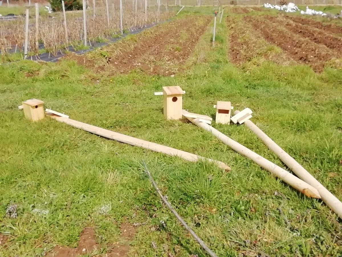 Chaponost accueille une balade naturaliste gratuite au cœur de la ferme du Mont 1 L'installation de nichoirs attire des prédateurs naturels - DR
