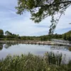 La Communauté de communes s&rsquo;explique sur le report à 2027 de la baignade naturelle de Hurongues