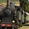 Plus de 800 voyageurs célèbrent le double anniversaire du train à Sainte-Foy-l&rsquo;Argentière