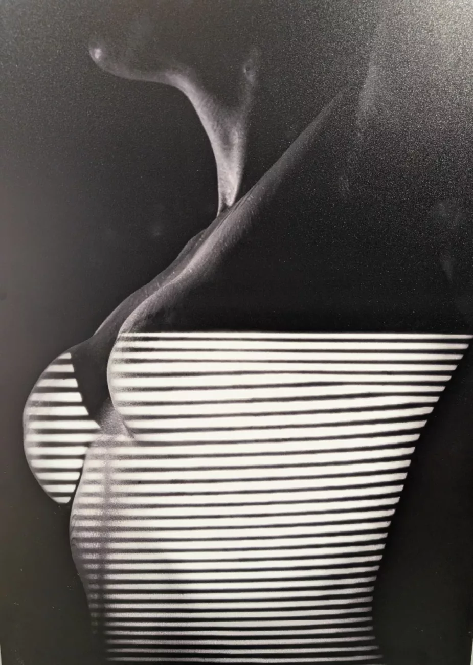 Exposition "Il y a du monde au balcon" - © Jean-Paul Kuby